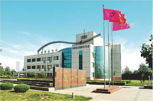 技術賦能，破局前行 山東糧食產業破解同質化困局的轉型實踐